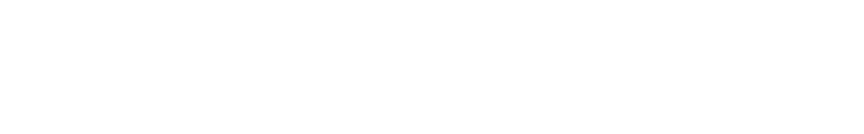 SenangWebs Logo White